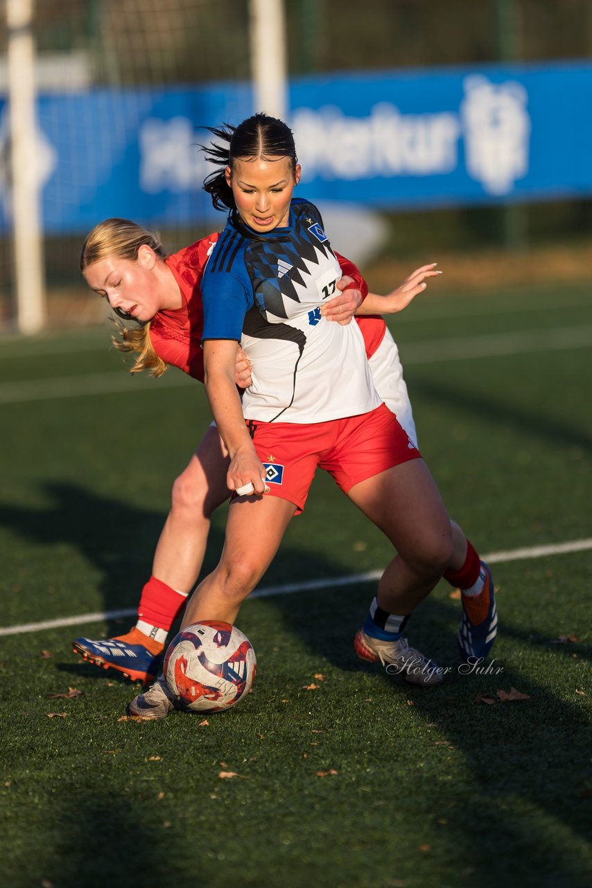 Bild 250 - wBJ Hamburger SV - Holstein Kiel : Ergebnis: 8:0